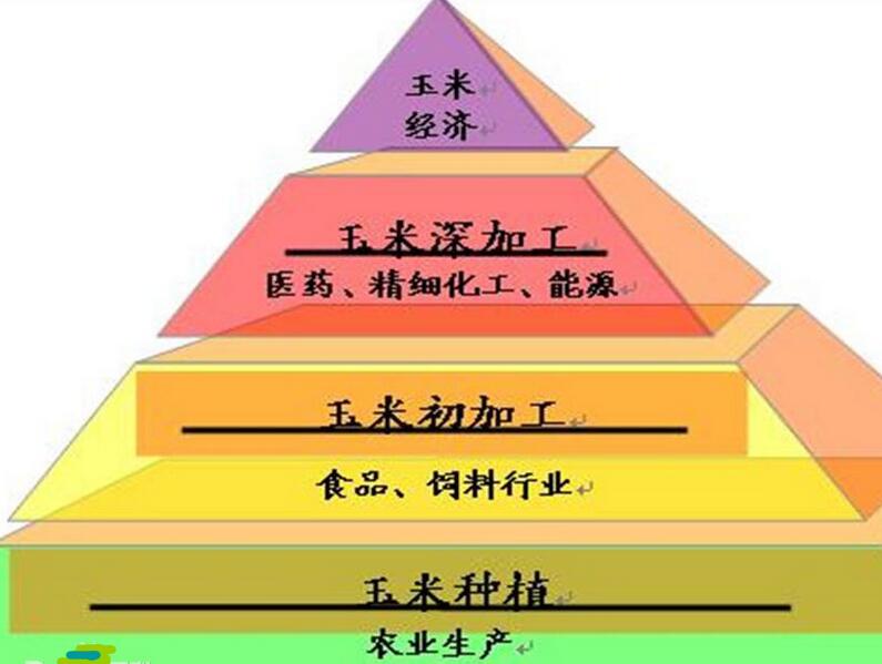 河南粮院玉米深加工设备提供玉米经济金字塔 河南粮院玉米深加工设备提供玉米经济金字塔